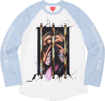Dog Raglan L/S Top 2020春夏