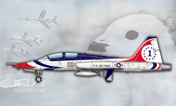 美国T-38A“禽爪”教练机-雷鸟飞行表演队 