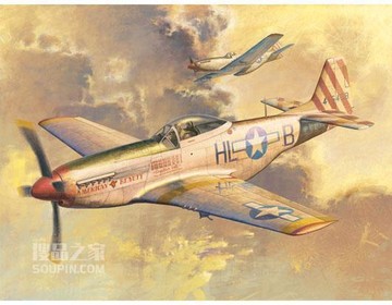 P-51D “野马” 战斗机 