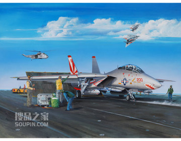 F-14A “雄猫”战斗机 