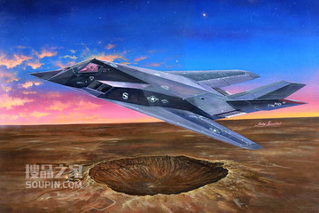 美国F-117A“夜鹰”隐型战斗机 