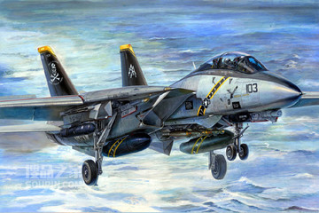 F-14B 雄猫可变翼战斗机 