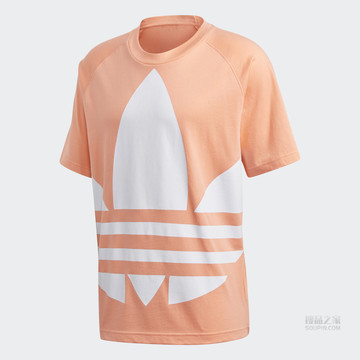 BG TREFOIL TEE 运动短袖T恤