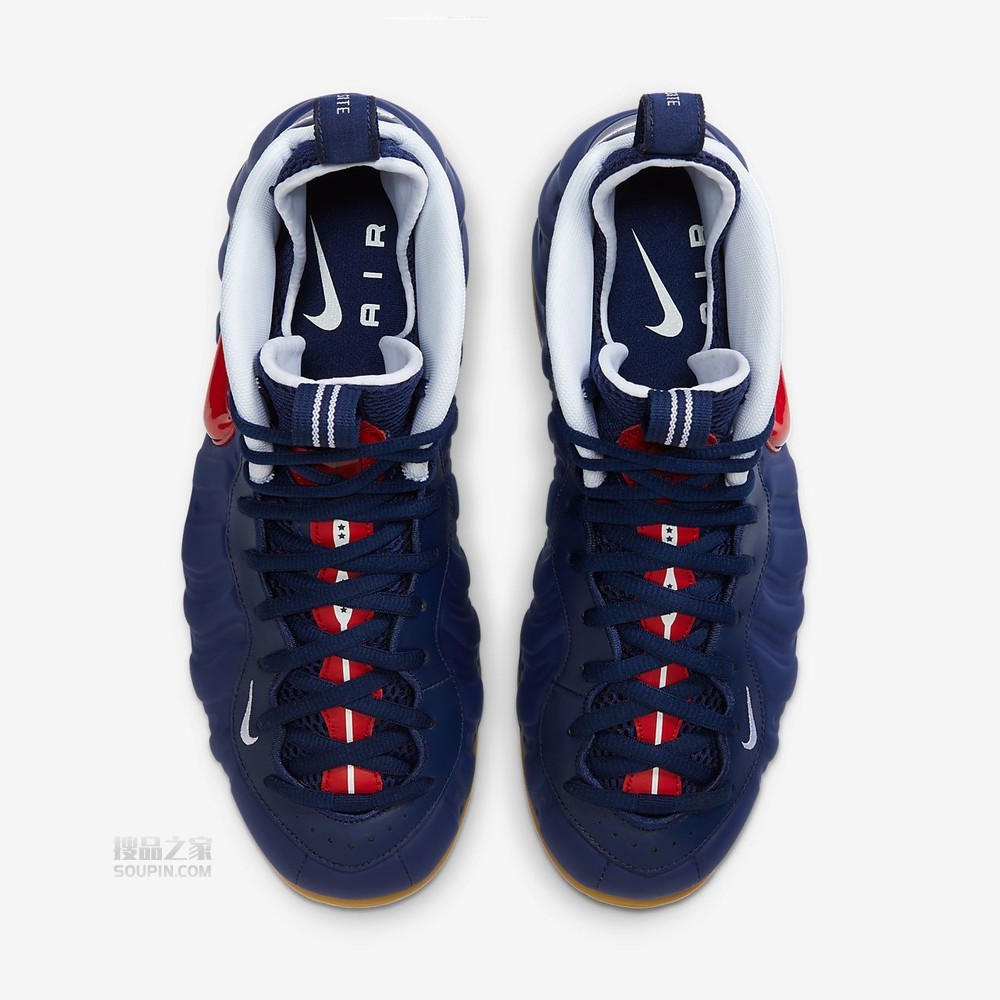 Air Foamposite Pro