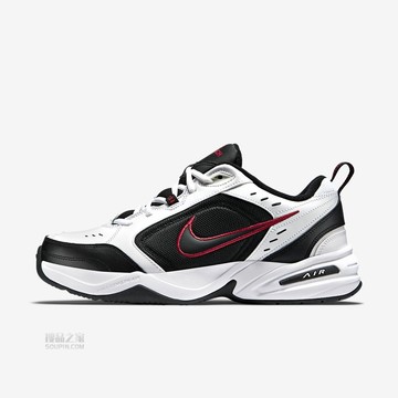 Air Monarch IV