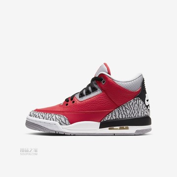 Air Jordan 3 Retro SE (GS)