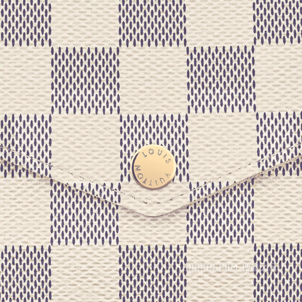 Pochette Félicie 链条包
