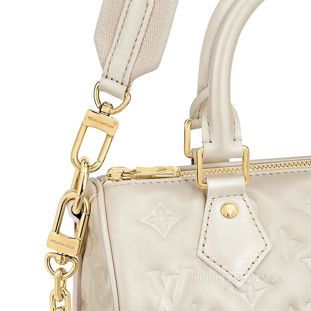 SPEEDY BANDOULIÈRE 22 手袋