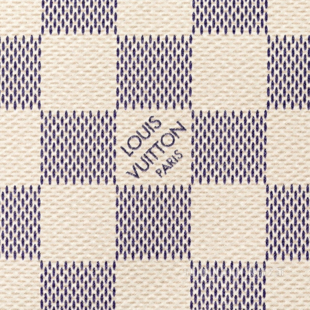 Mini Pochette Accessories 小手袋