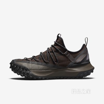 Nike ACG Mountain Fly Low 男/女运动鞋