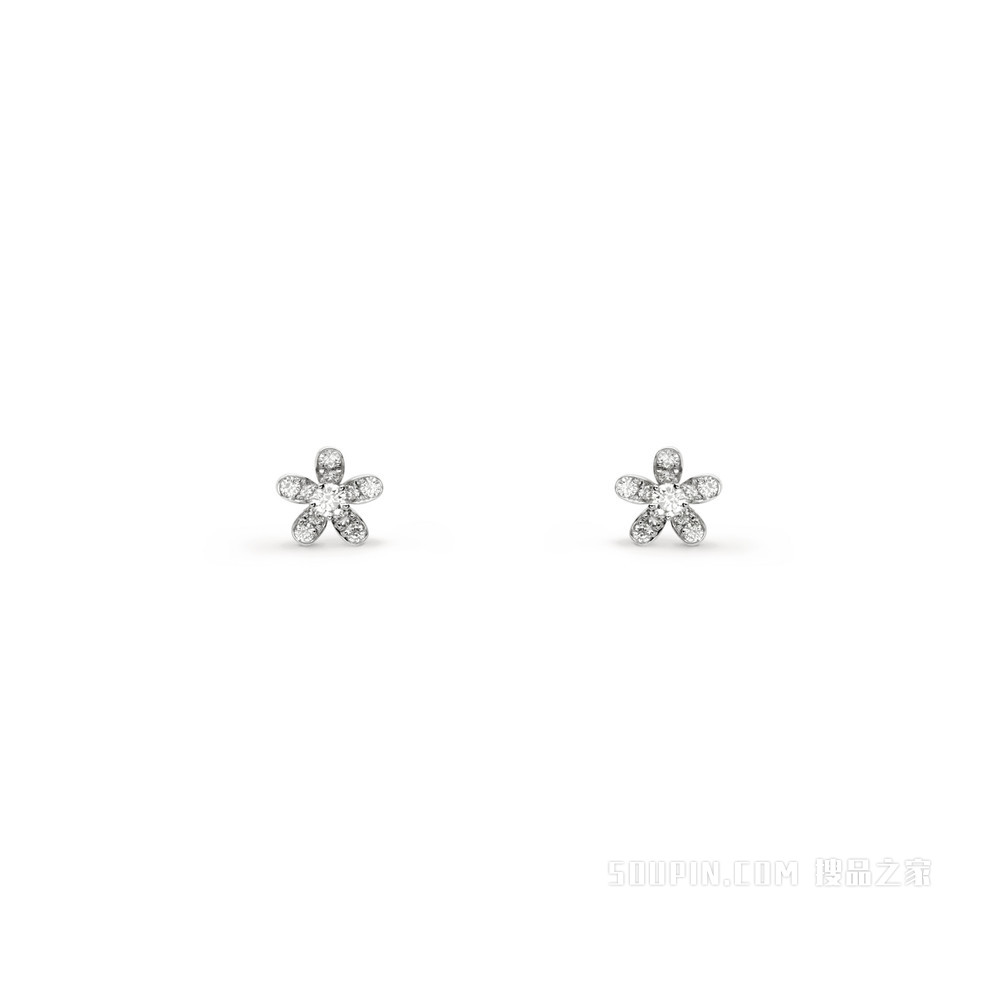 Socrate耳钉，单花