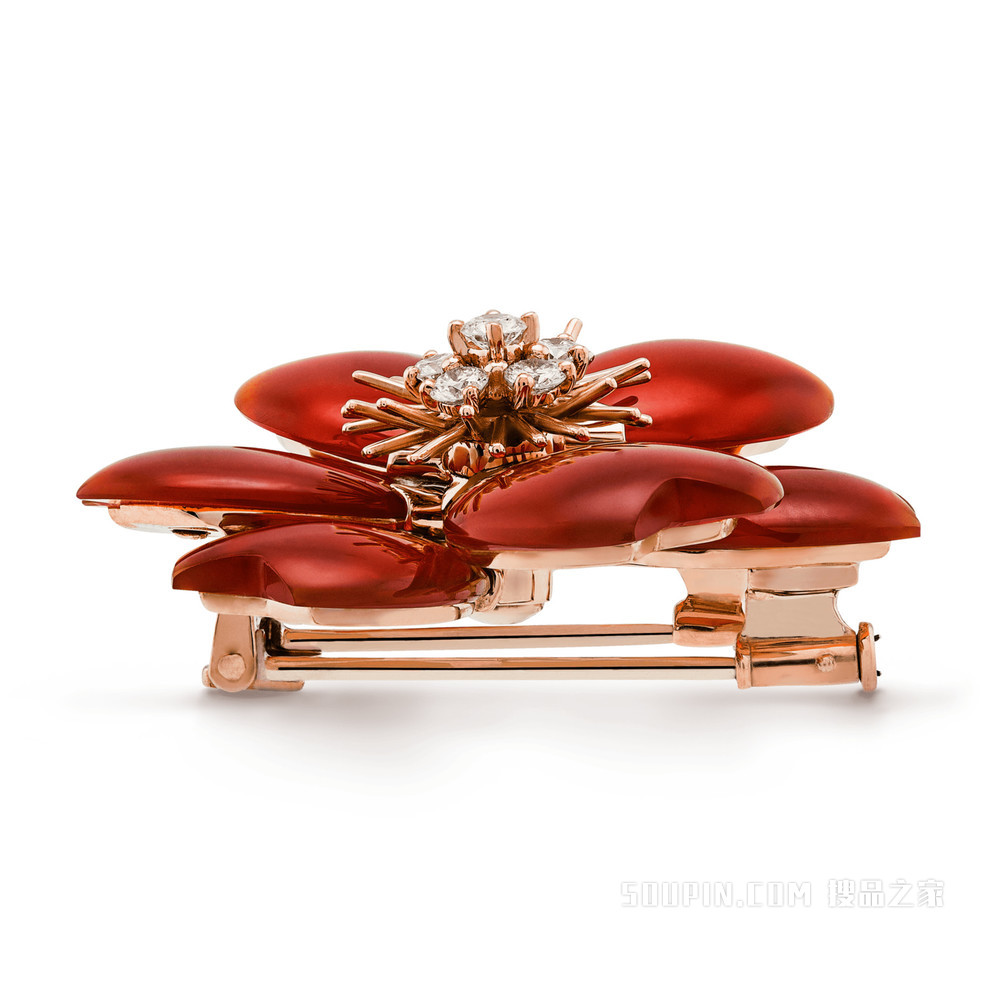 Rose de Noël胸针，中号款式