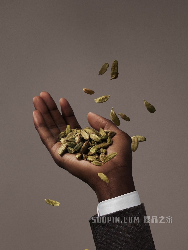 Madras Cardamom