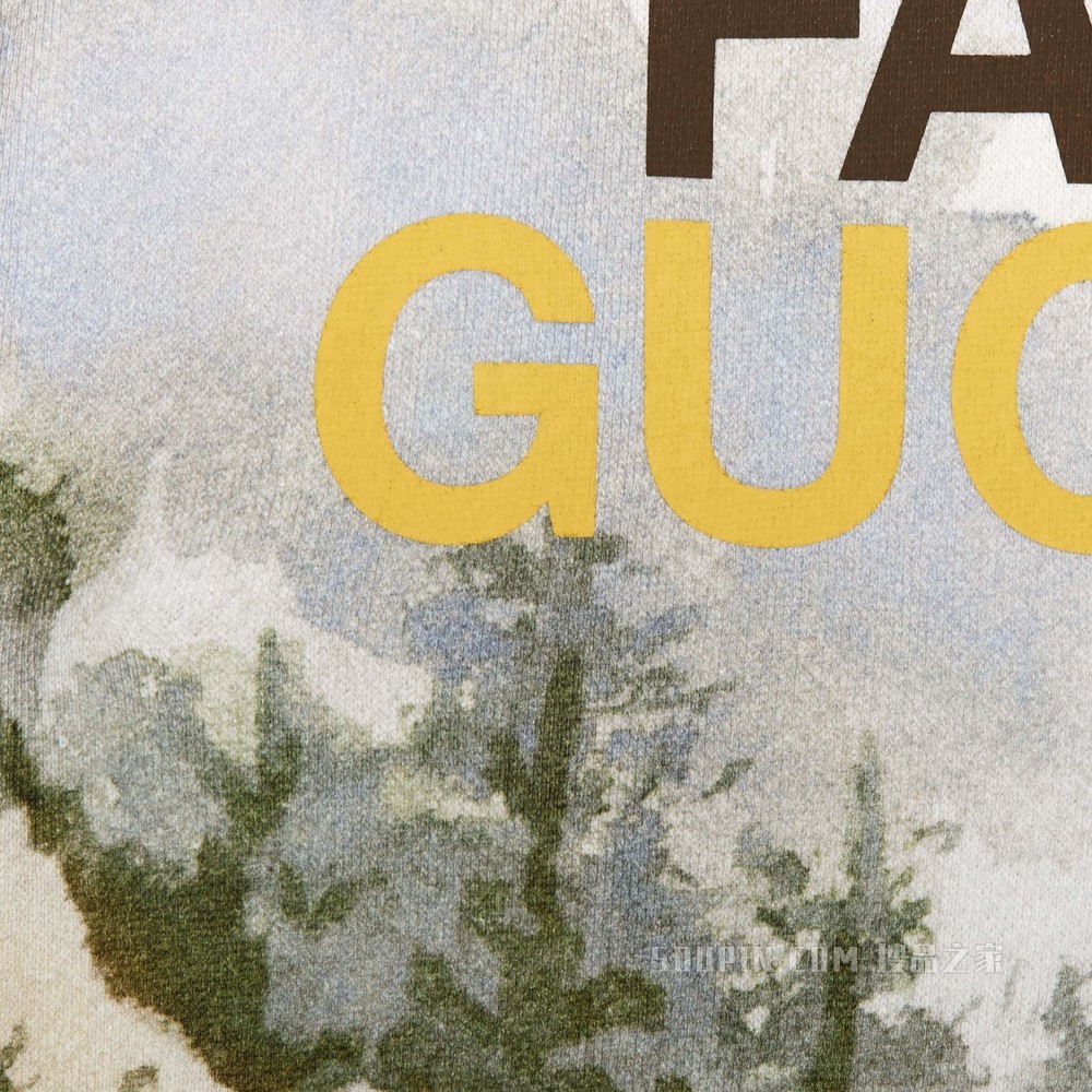 The North Face x Gucci联名系列卫衣 多色