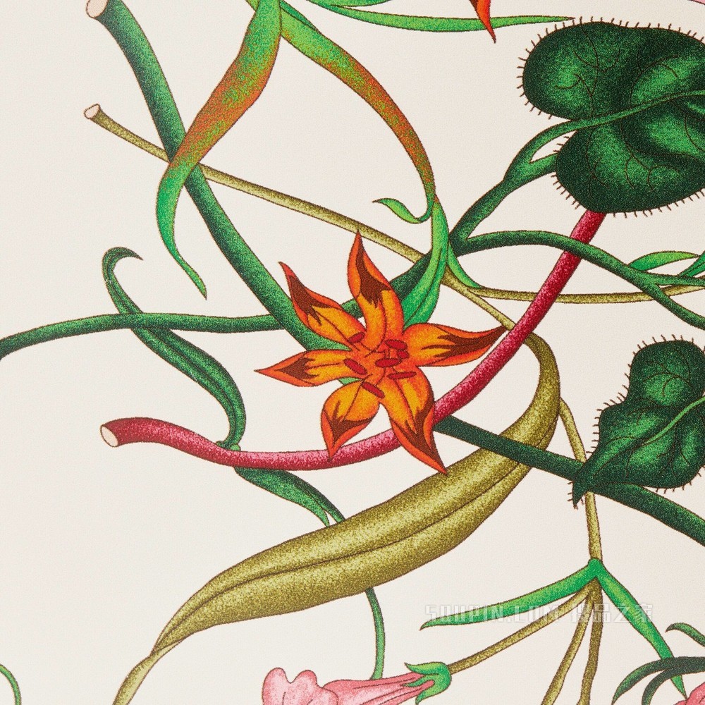 花卉印花滑板 象牙白色和多色