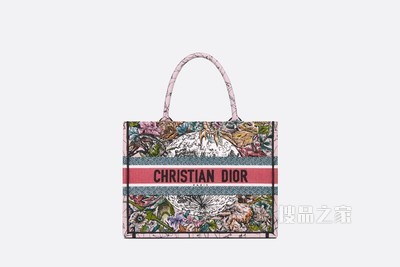 小号 Book Tote 手袋 多色 Dior 星座刺绣