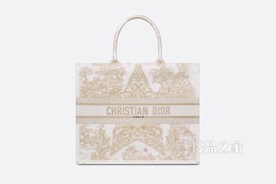 Book Tote 手袋 金色 Dior Around the World Stella 图案刺绣