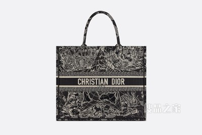 Book Tote 手袋 黑色和白色 Dior Around the World 图案刺绣