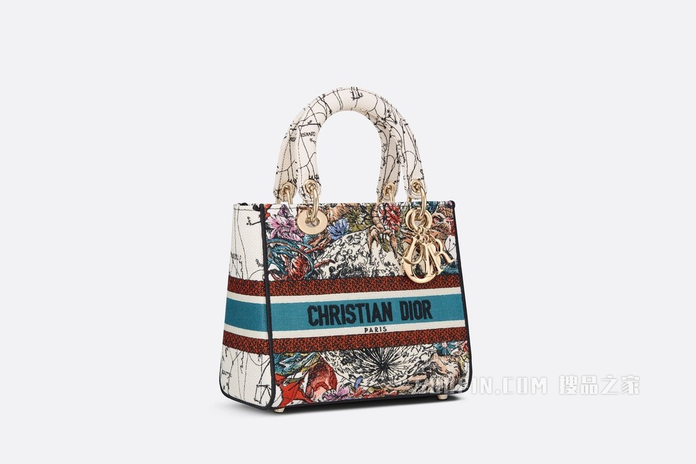 中号 Lady D-Lite 手袋 奶白色款式多色 Dior 星座刺绣