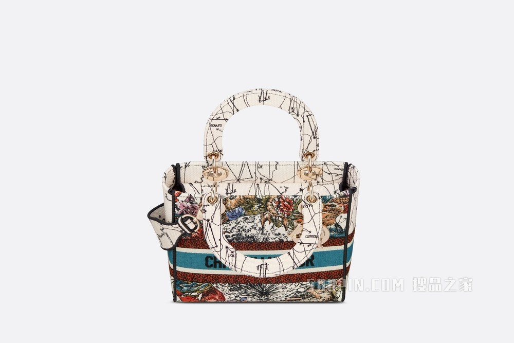 中号 Lady D-Lite 手袋 奶白色款式多色 Dior 星座刺绣