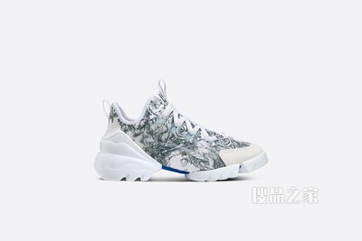 D-Connect 运动鞋 蓝色和白色科技面料 Dior Étoile 图案