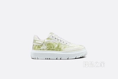 Dior Addict 运动鞋 绿黄色科技面料茹伊印花
