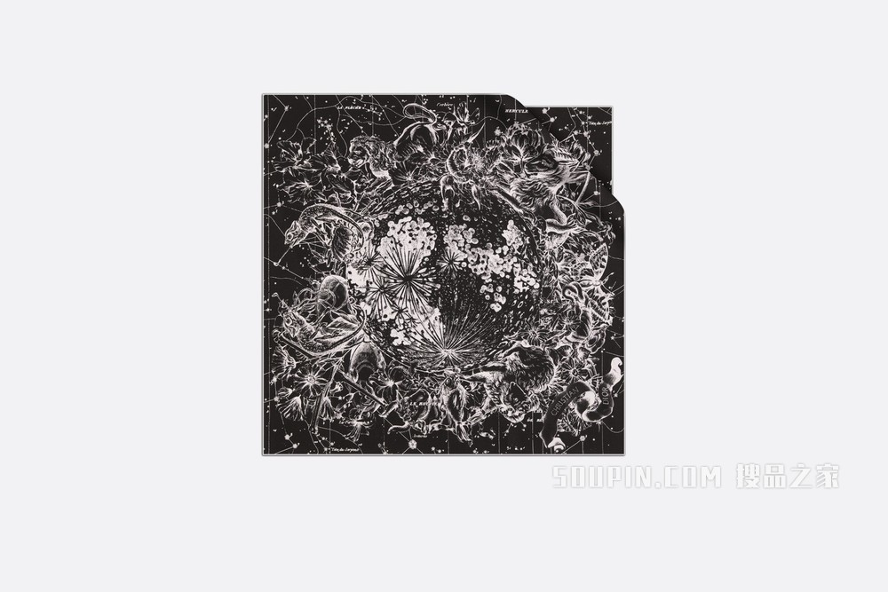 Dior 印花方巾 黑色桑蚕丝斜纹面料 Dior Zodiac 印花