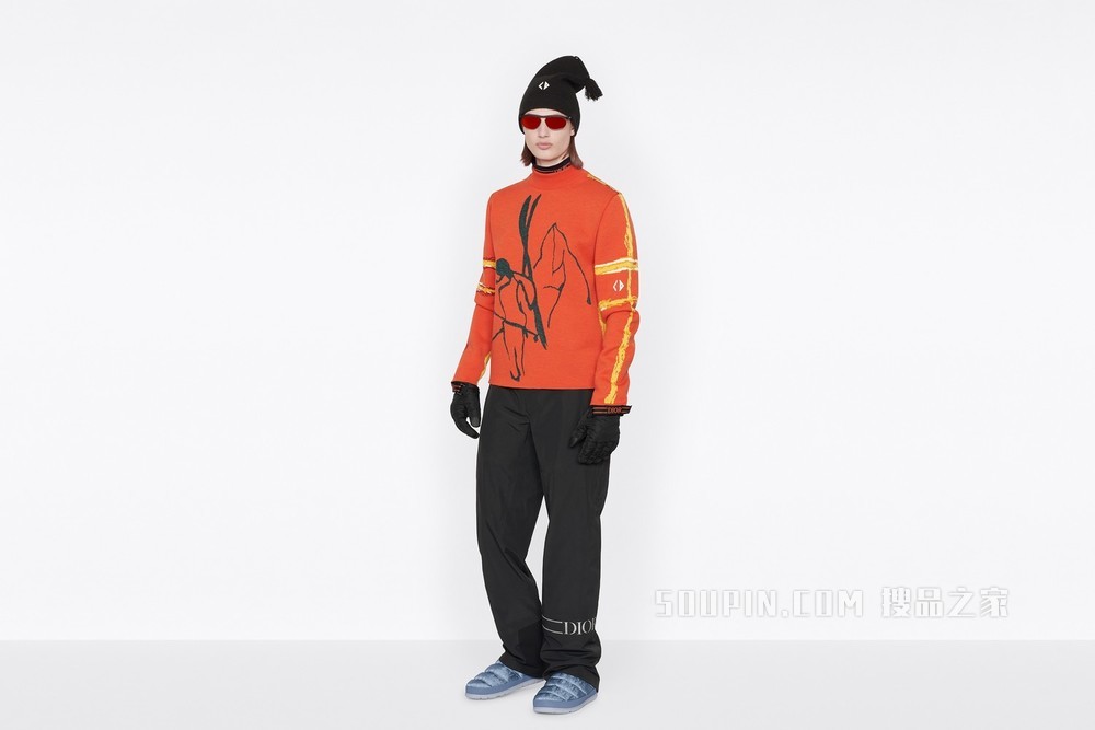 DIOR AND PETER DOIG 针织衫 橙色羊毛提花面料