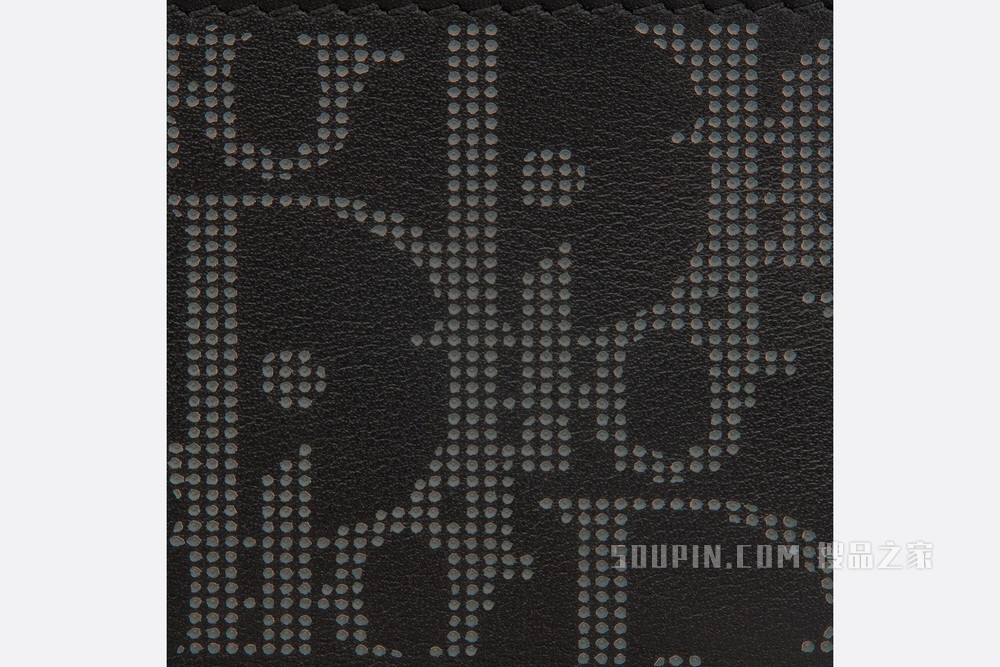 Dior World Tour 卡夹 黑色 Oblique Galaxy 印花效果皮革