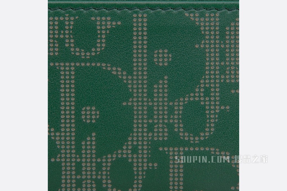 Dior World Tour 卡夹 绿色 Oblique Galaxy 印花效果皮革