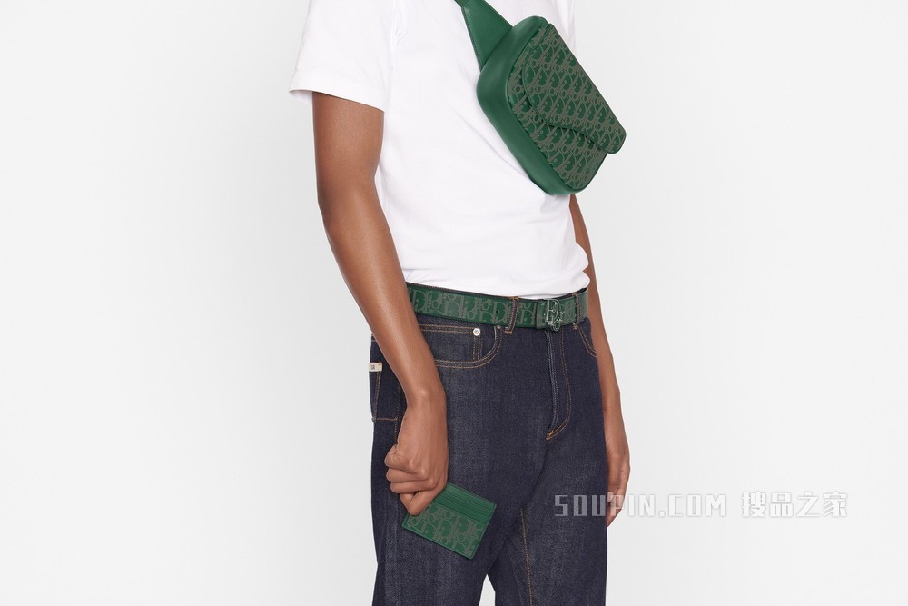 Dior World Tour 卡夹 绿色 Oblique Galaxy 印花效果皮革