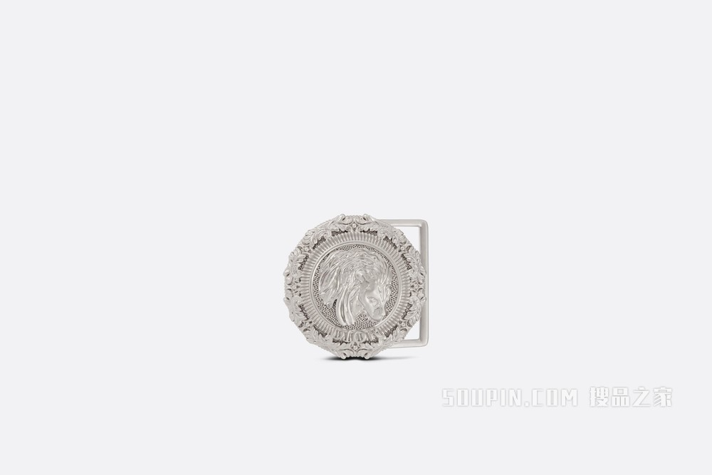 DIOR AND PETER DOIG 腰带扣 35 毫米金属覆层黄铜