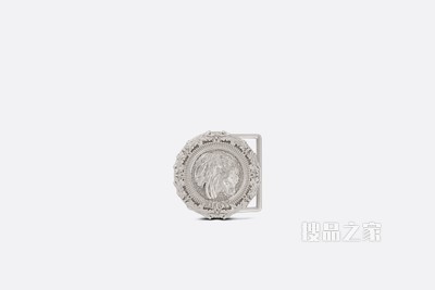 DIOR AND PETER DOIG 腰带扣 35 毫米金属覆层黄铜