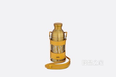 Dior Aqua 水瓶 金色粒面牛皮革和不锈钢 Dior Oblique 图案搭配肩带