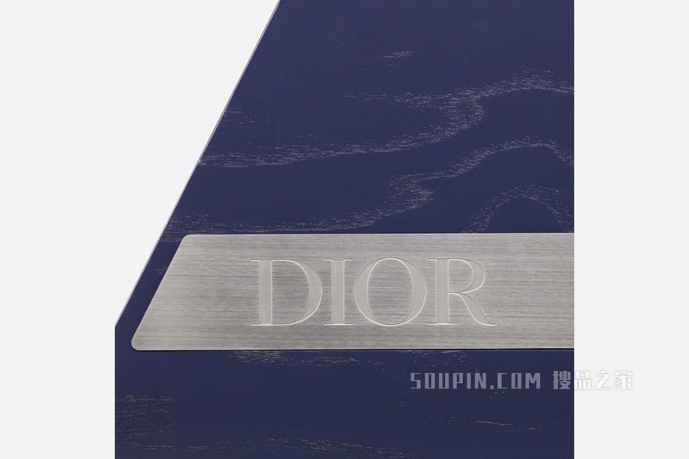 DIOR AND AKONITE 雪橇 海军蓝色“DIOR”标志