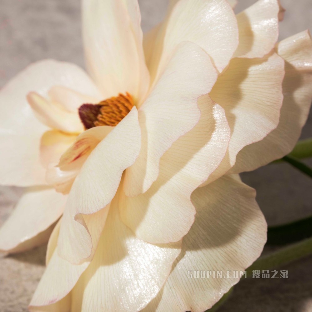 Her 她香水 50ml - 女士