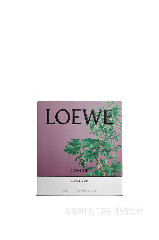 中号芫荽香精蜡烛