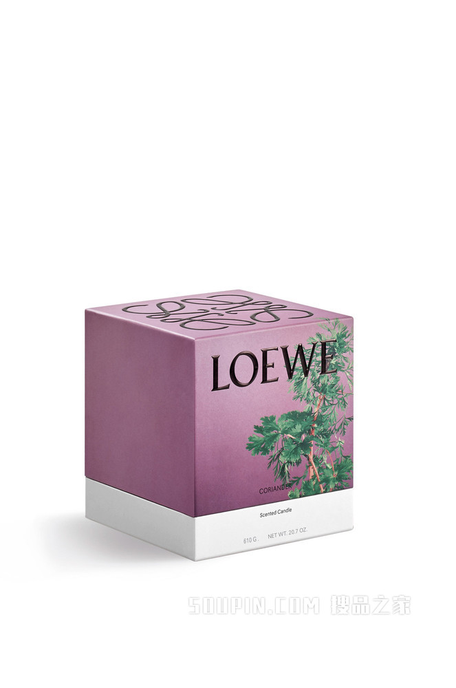 中号芫荽香精蜡烛