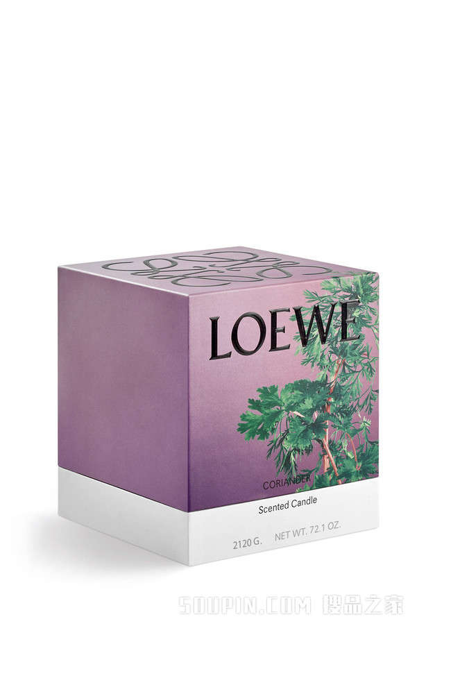 大号芫荽香精蜡烛