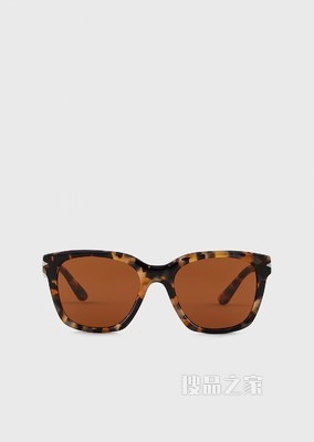 Panthos经典太阳镜 | Giorgio Armani