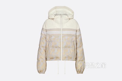 DiorAlps 短款夹克 金色绗缝科技面料 Dior Étoile 图案