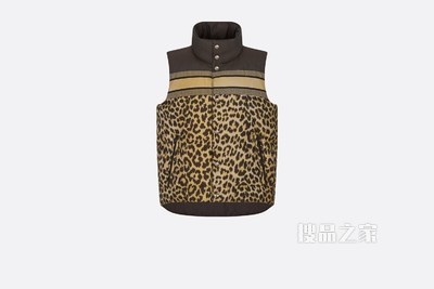 DiorAlps 双面无袖夹克 米色绗缝科技面料 Mizza 图案