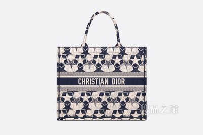 Book Tote 手袋 蓝色和白色 Dior Étoile 图案刺绣