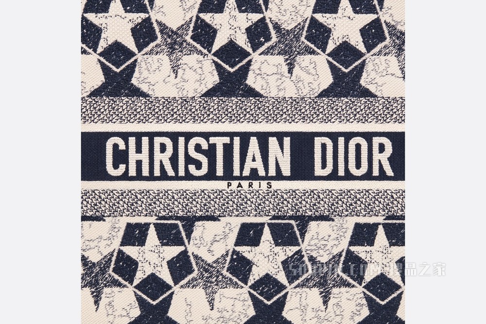 Book Tote 手袋 蓝色和白色 Dior Étoile 图案刺绣