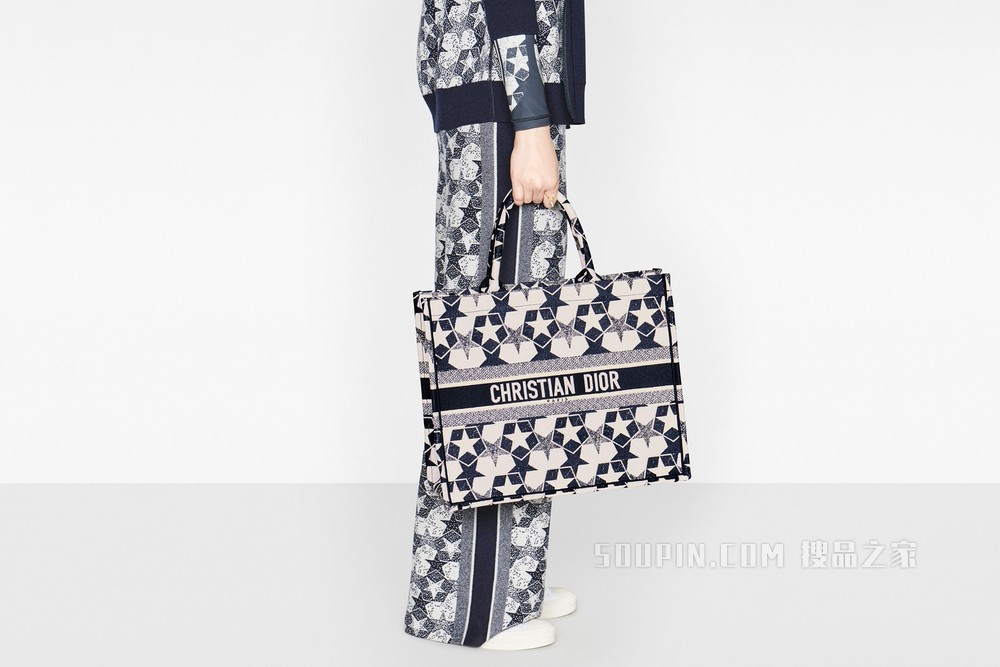 Book Tote 手袋 蓝色和白色 Dior Étoile 图案刺绣
