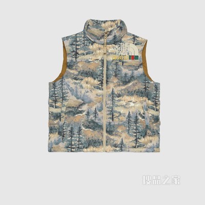 The North Face x Gucci联名系列羽绒马甲 多色
