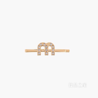 树脂玻璃和金属发夹