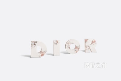 DIOR AND DANIEL ARSHAM 未来遗迹 D.I.O.R 蚀刻字母
