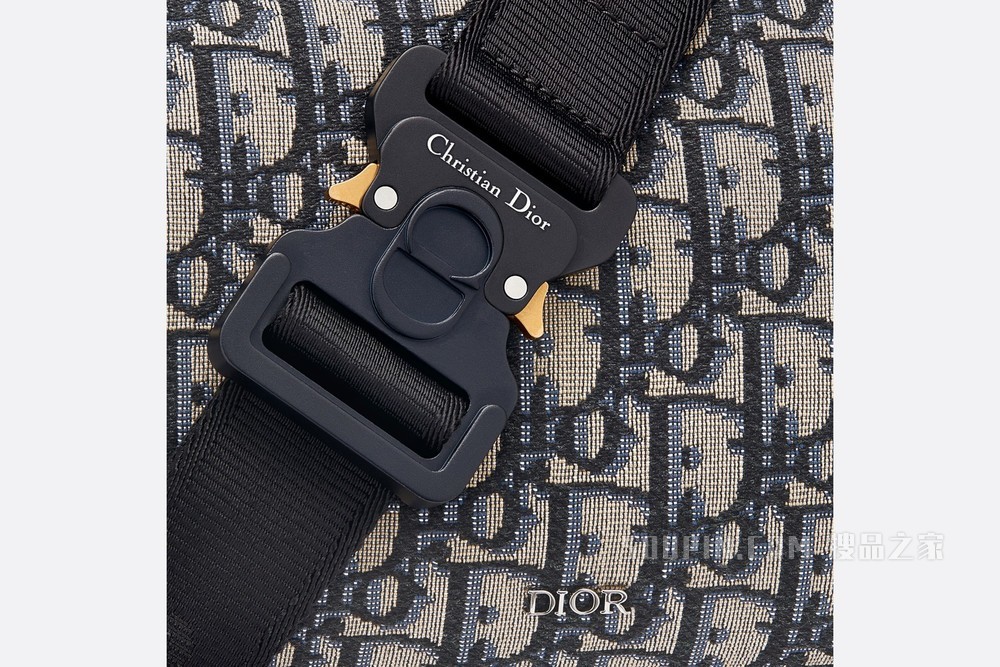 Dior Lingot 22 手袋 米色和黑色 Oblique 印花