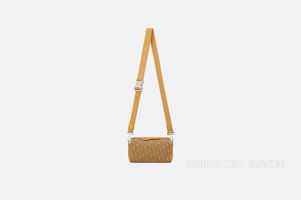 Dior Lingot 22 手袋 金色 Oblique 印花